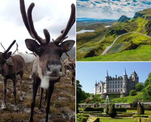 BEST OF: things to do and see in Scotland 💚 cover photo collage