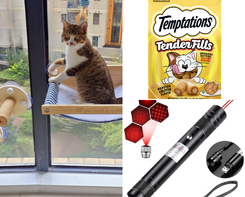 Toys for pets cover photo collage