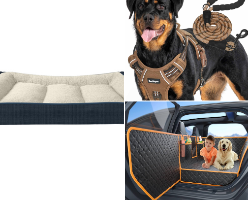 Dogs accessories cover photo collage