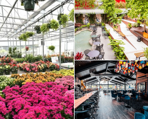 Slow Days & Sunshine: SoCal Spots cover photo collage
