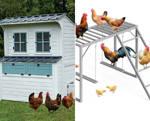Chicken coop essentials 🐓 cover photo collage