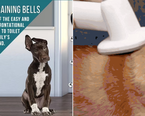 New Dog Survival Guide Must Haves For The First 30 Days cover photo collage