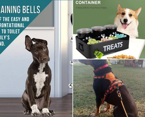 New Dog Survival Guide Must Haves For The First 30 Days cover photo collage