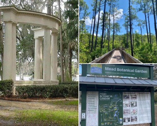 💎 Hidden Gems in Orlando: Unique Places Most Tourists Miss cover photo collage
