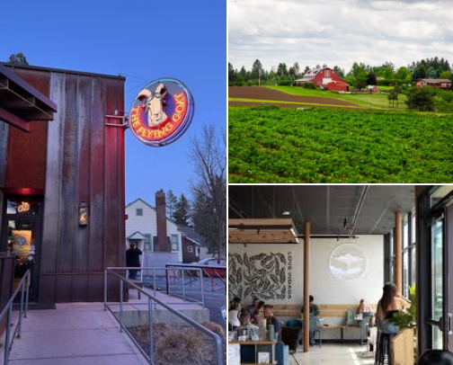 Spokane Doesn't Suck: Visit Spokane, WA: Locals Guide cover photo collage