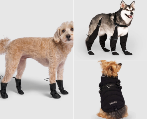 My Favorite Dog Products cover photo collage