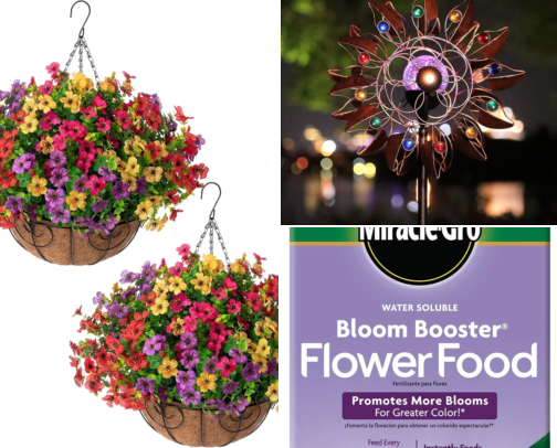Vibrant Plants That Brighten Your Outdoor Space cover photo collage