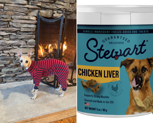 Italian Greyhounds + Small Dogs Goodies!!! cover photo collage