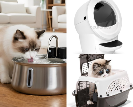 Things My Kitty Loves! cover photo collage