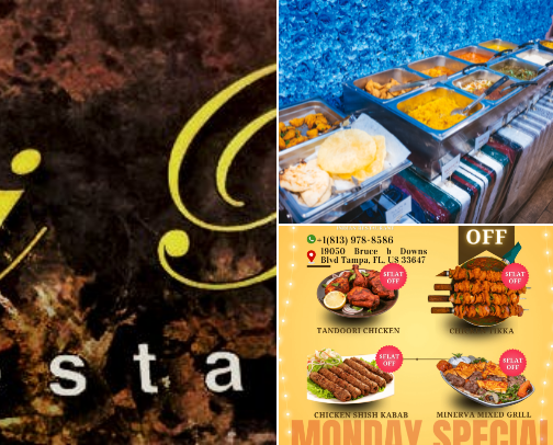 Where I Eat in Tampa: My Favorite Restaurants & Hidden Gems cover photo collage