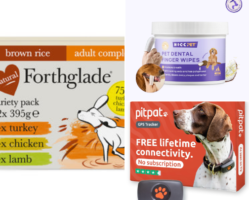 For dogs cover photo collage
