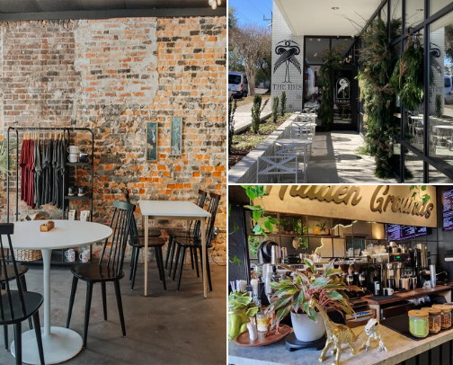Best Coffee Spots in Wilmington for a Chill Morning cover photo collage