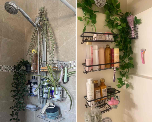 shower products that make me feel sexy 🛁 cover photo collage