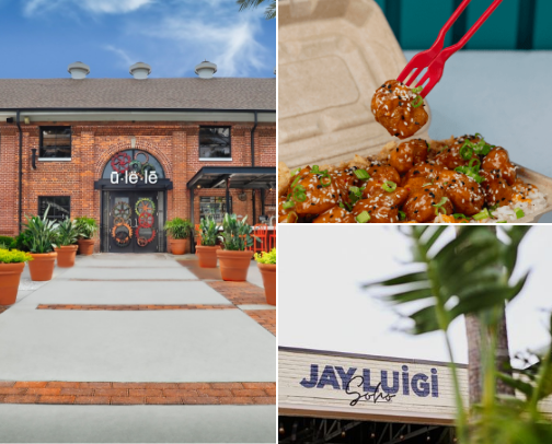 My top Tampa recs cover photo collage