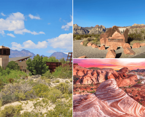 Recommendations in and around Las Vegas cover photo collage