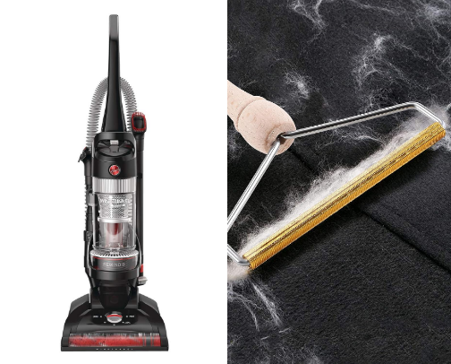 Make your home not smell like dog cover photo collage
