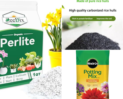 🌱 Plant Care Essentials cover photo collage
