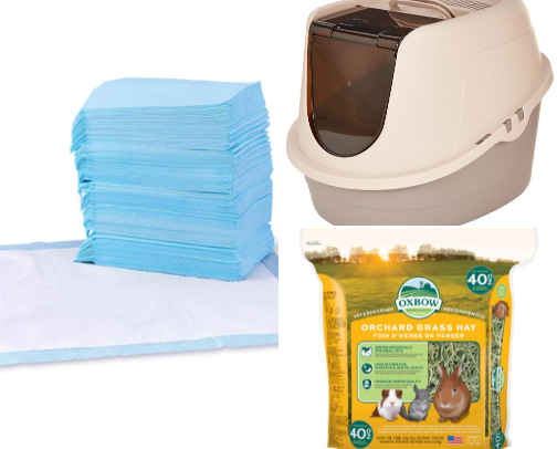 Rabbit Care Essentials cover photo collage