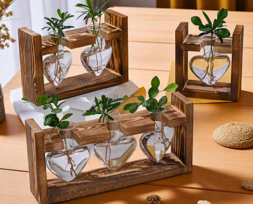 The Plant Parent Starter Kit cover photo collage