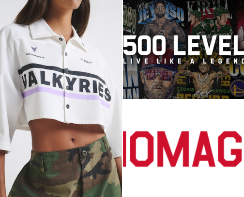 Where you can get the Best WNBA Gear cover photo collage