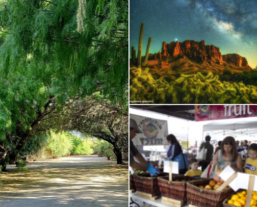 Favorite Phoenix Area/ Scottsdale Things to do outside cover photo collage