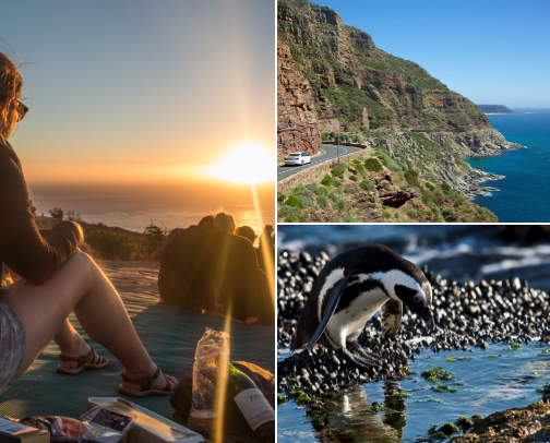 Beautiful Places To See In Cape Town cover photo collage