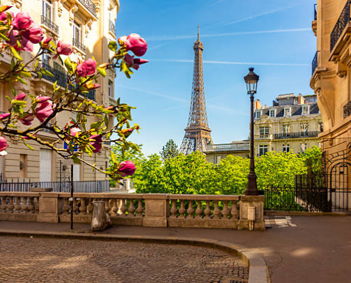 Your Perfect Paris Adventure 🗼 cover photo collage