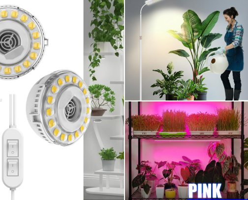 Deals for the Chaotic Plant Parent AMAZON PRIME DAY EDITION! cover photo collage