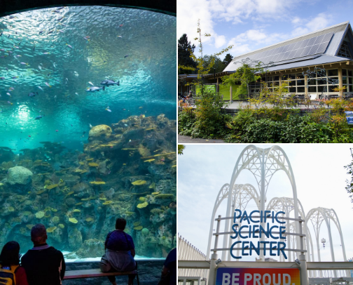 Things to do in Seattle with your toddler cover photo collage