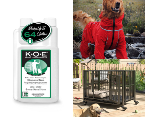 We love our dogs! cover photo collage