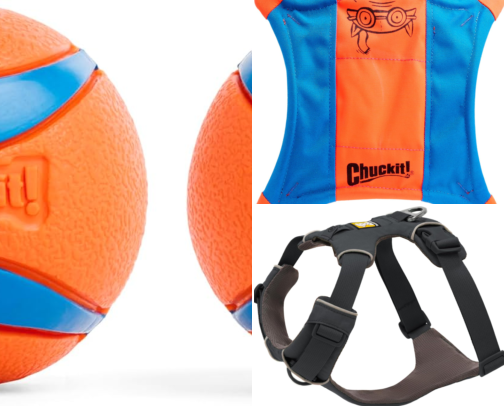 Gifts for dog people and their dogs, all under $80 cover photo collage