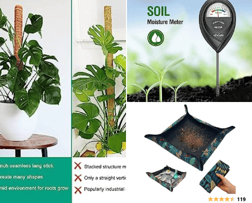 Plant things 🪴 cover photo collage
