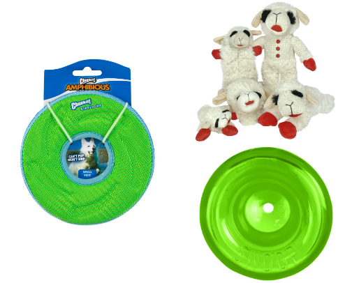 Toys your dog NEEDS cover photo collage