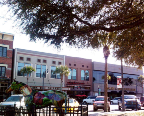 Marion County, FL- What Is This Place? cover photo collage