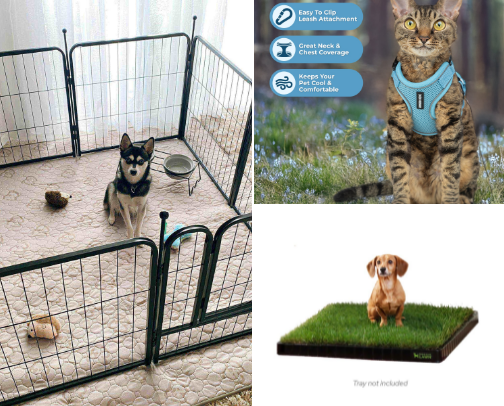 Doggy Essentials! cover photo collage