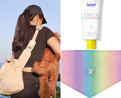 Summer Dog Walk Faves cover photo collage