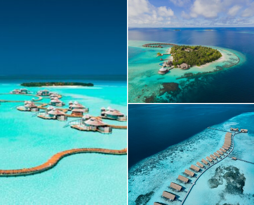 Escape to Paradise: Dream Hotels in the Maldives. cover photo collage