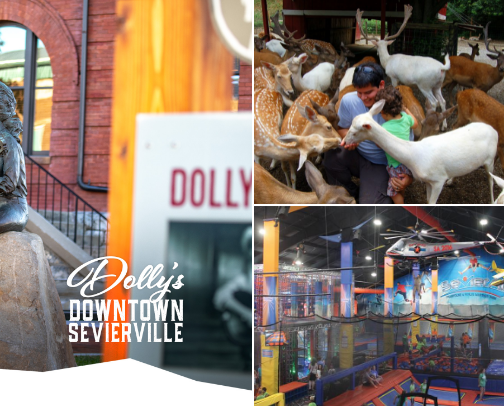 Sevierville, TN Travel Guide: Best Things to Do, Places to Stay & Eat cover photo collage