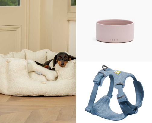 Agua's Edit: The Good Dog Life cover photo collage