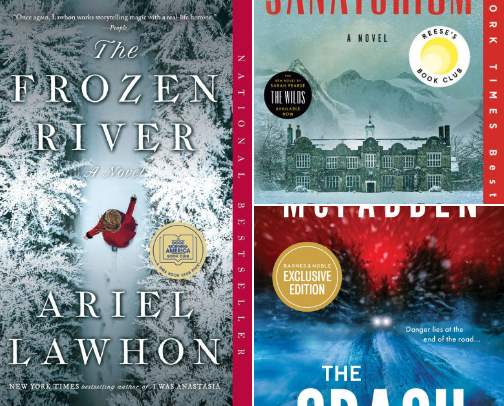 Snowy Winter Thrillers You Should Read cover photo collage