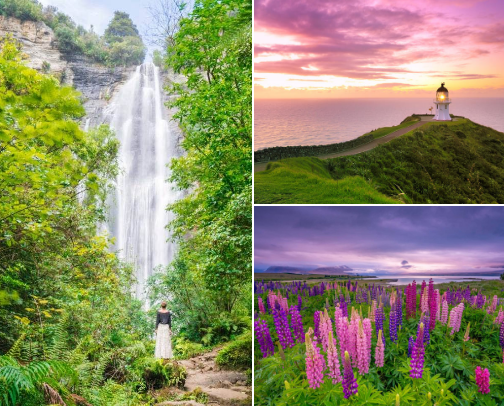 𝘋𝘪𝘴𝘤𝘰𝘷𝘦𝘳 𝘕𝘦𝘸 𝘡𝘦𝘢𝘭𝘢𝘯𝘥: 
Wanderlust Mood Board 🇳🇿 cover photo collage