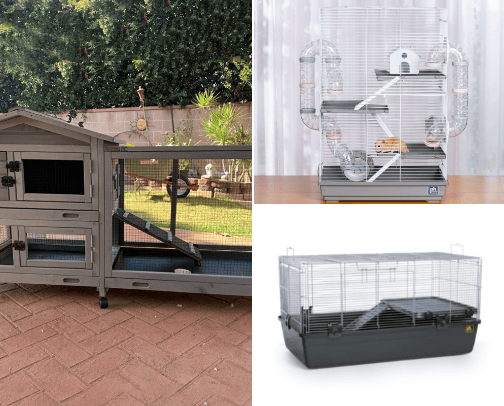 You won't regret buying this for your pet. cover photo collage