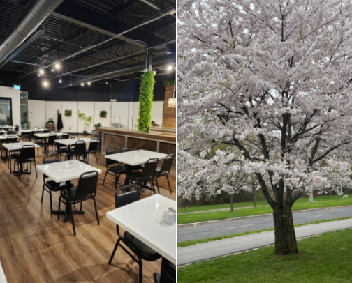 Places I’ve Enjoyed in Ontario cover photo collage