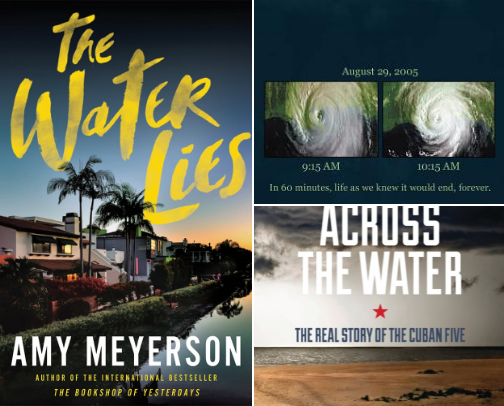 Download The Water Lies cover photo collage