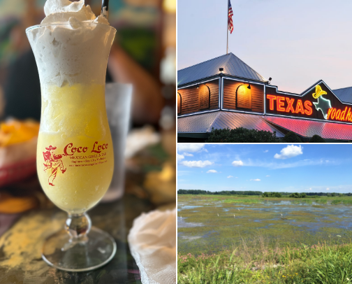 My top Saginaw recs cover photo collage