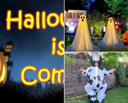 Halloween Outdoor Decorations cover photo collage