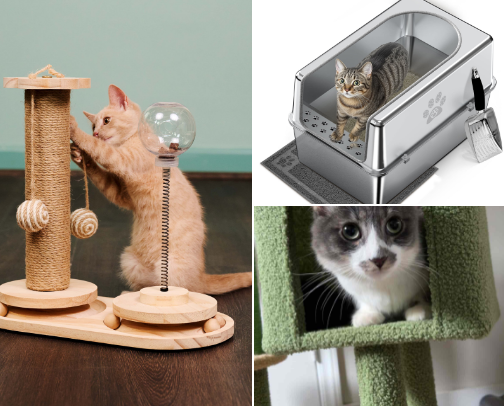 For the Furry Friends 🐾 cover photo collage