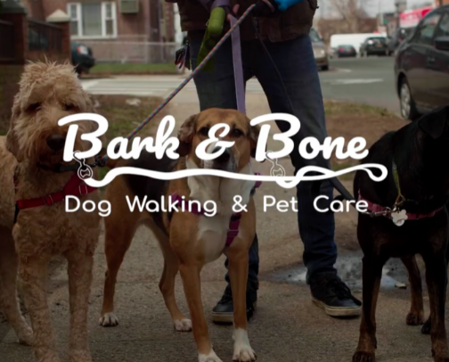 Pet Services cover photo collage