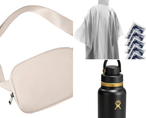 Theme park essentials cover photo collage