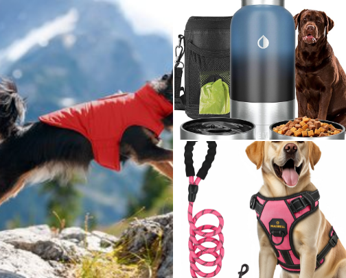 🐾 Top Dog Gear for Every Pup: 2025 Edition cover photo collage